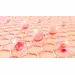 PDRN - lososie spermie